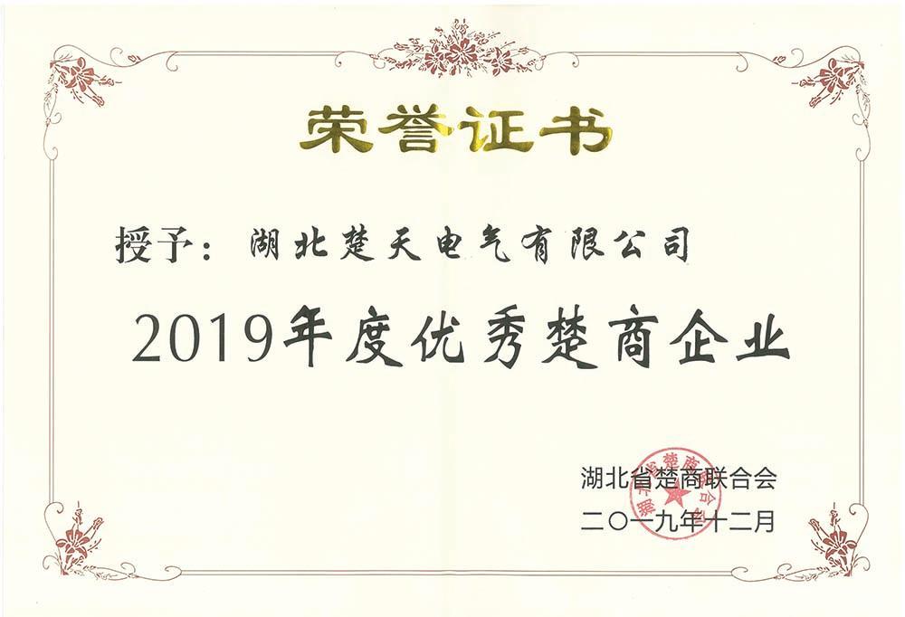 2019年优秀楚商企业